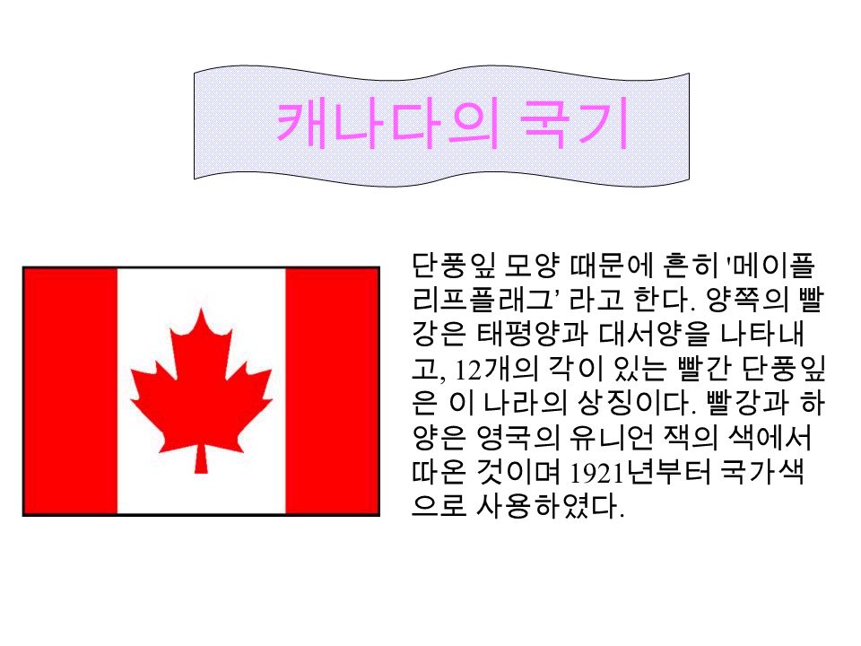 캐나다의 국기 단풍잎 모양 때문에 흔히 메이플 리프플래그 ’ 라고 한다.
