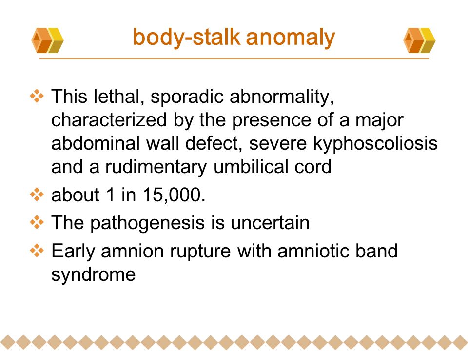 body-stalk anomaly  This lethal, sporadic abnormality, characterized by the presence of a major abdominal wall defect, severe kyphoscoliosis and a rudimentary umbilical cord  about 1 in 15,000.