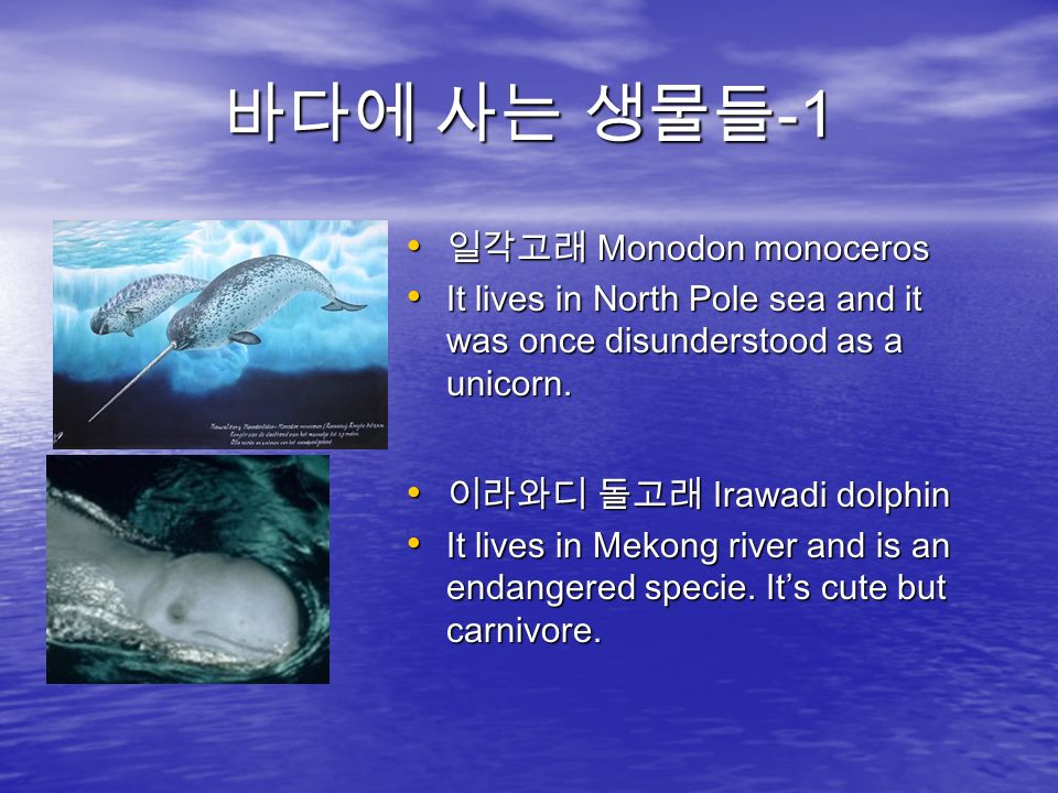 바다에 사는 생물들 -1 일각고래 Monodon monoceros 일각고래 Monodon monoceros It lives in North Pole sea and it was once disunderstood as a unicorn.