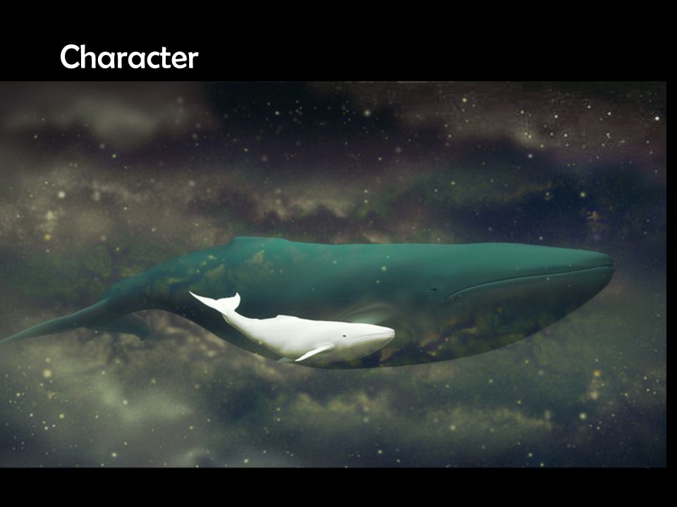 고래의 무리 속에 흰 고래가 있다. 흰 고래는 다른 고래와 달리 바다를 사랑하고 있었다.