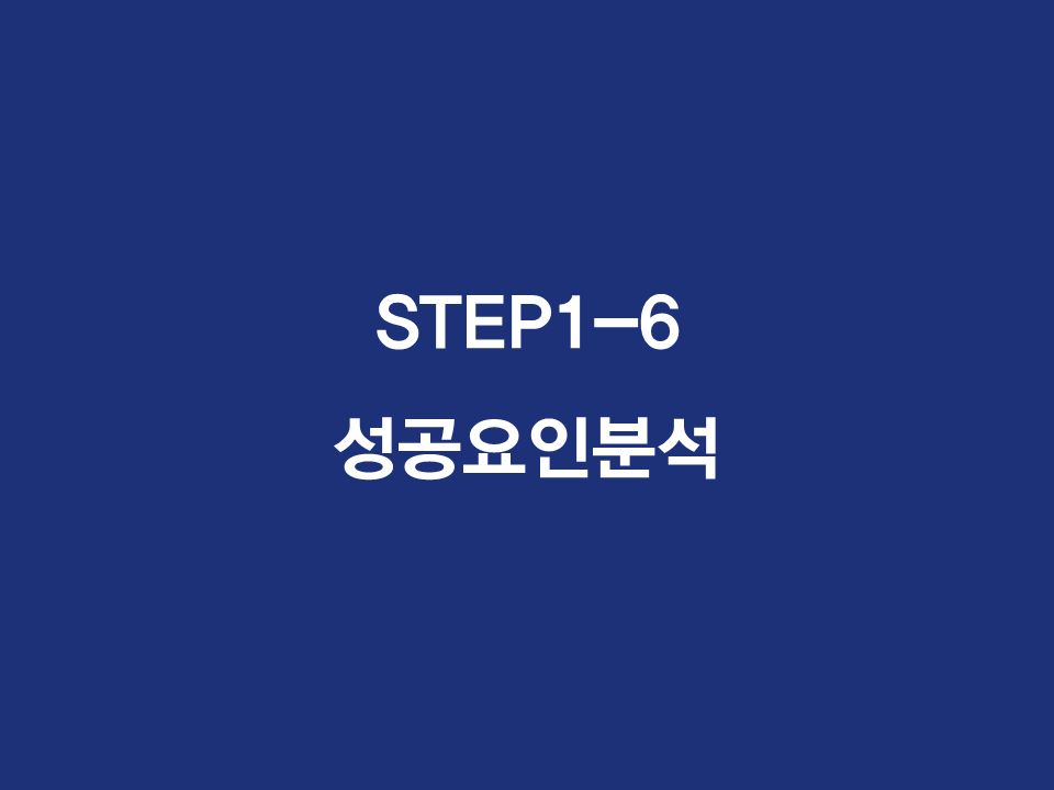 STEP1-6 성공요인분석