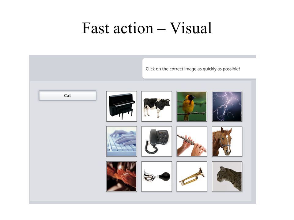 Fast action – Visual