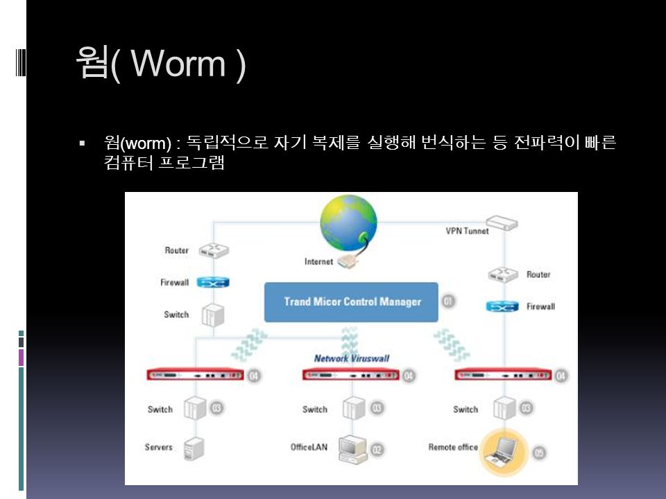 웜 ( Worm )  웜 (worm) : 독립적으로 자기 복제를 실행해 번식하는 등 전파력이 빠른 컴퓨터 프로그램