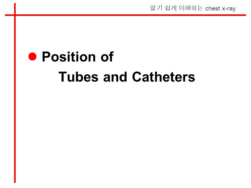 알기 쉽게 이해하는 chest x-ray Position of Tubes and Catheters