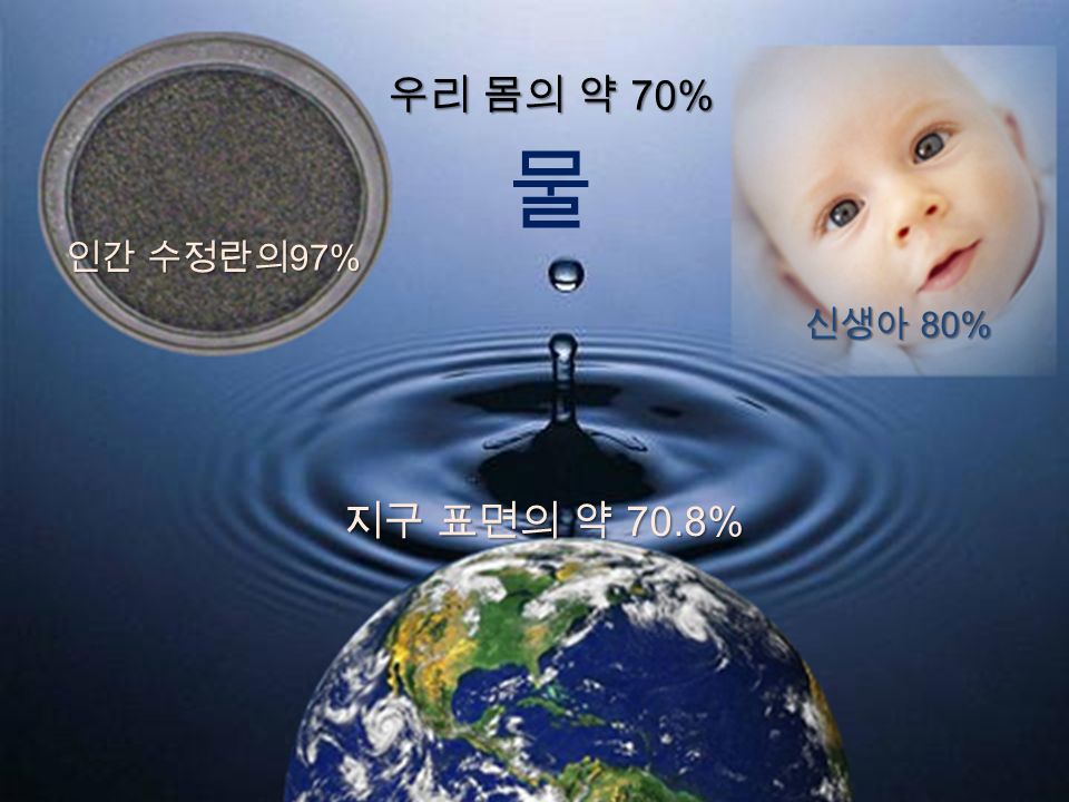 우리 몸의 약 70% 인간 수정란의 97% 신생아 80% 지구 표면의 약 70.8% 물