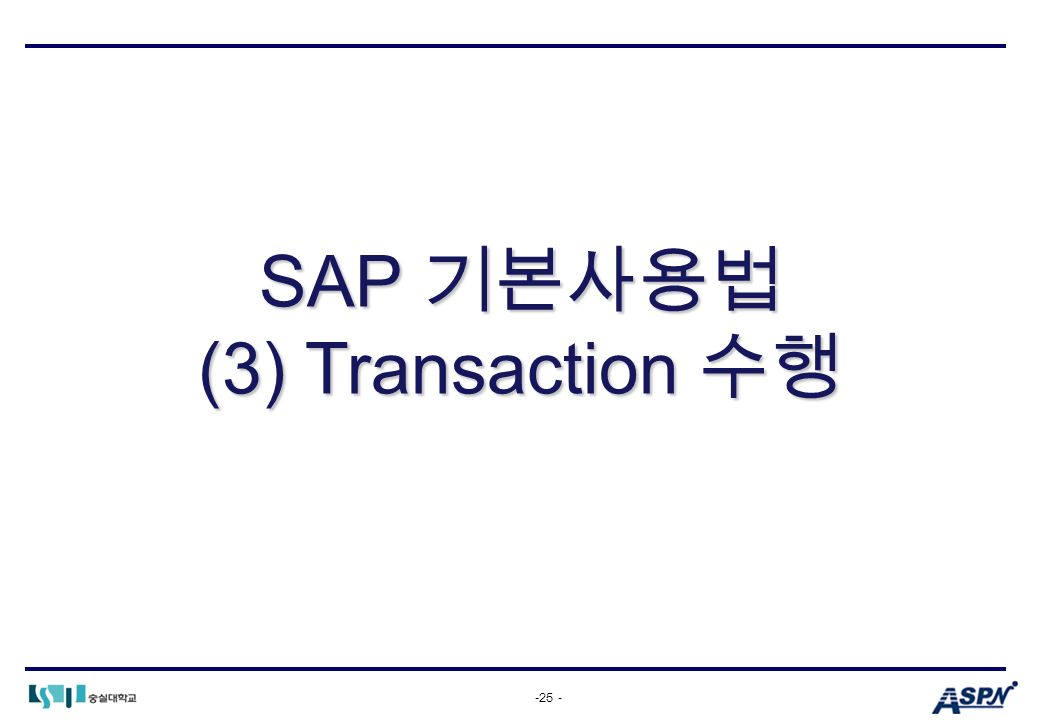 -25 - SAP 기본사용법 (3) Transaction 수행