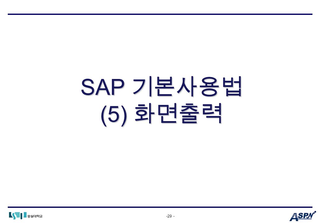 -29 - SAP 기본사용법 (5) 화면출력