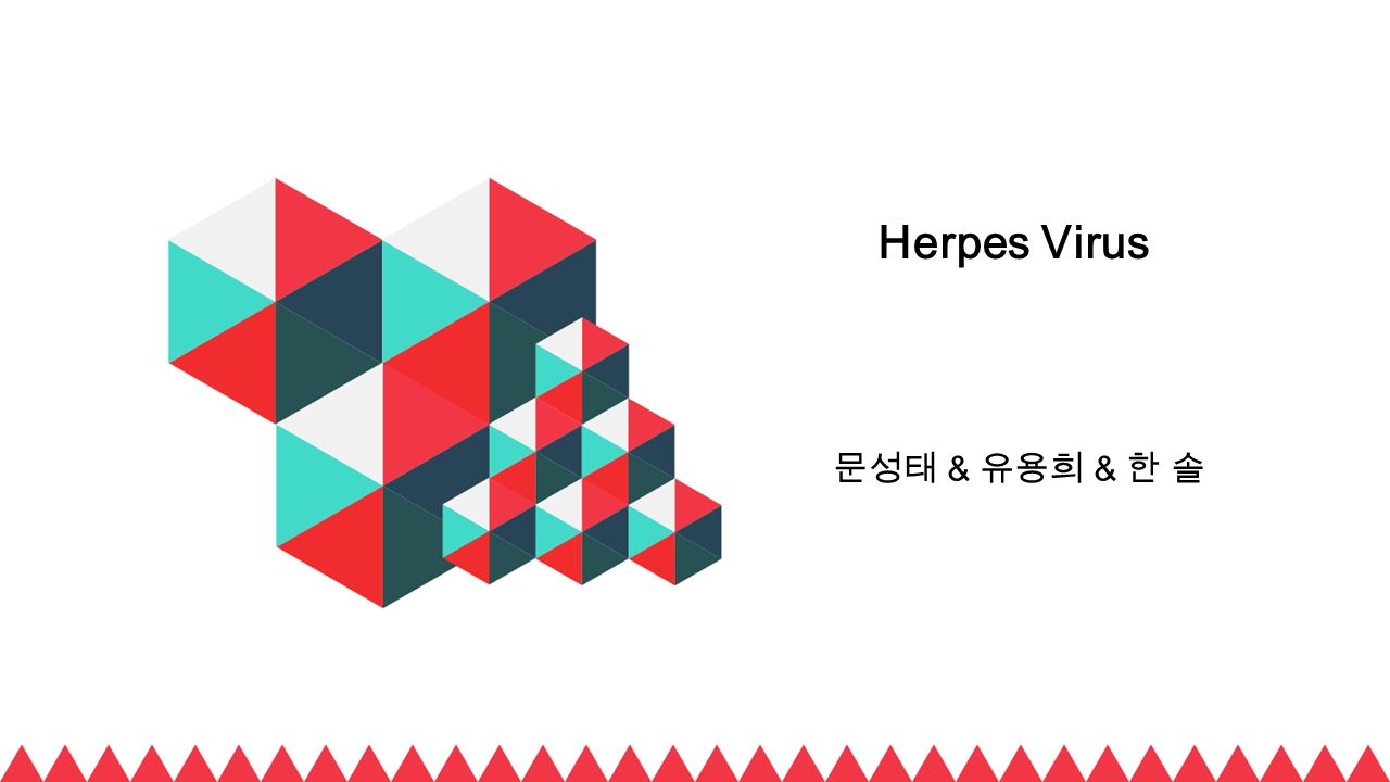 Herpes Virus 문성태 & 유용희 & 한 솔