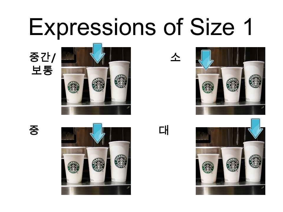 Expressions of Size 1 중간 / 보통 소 중대