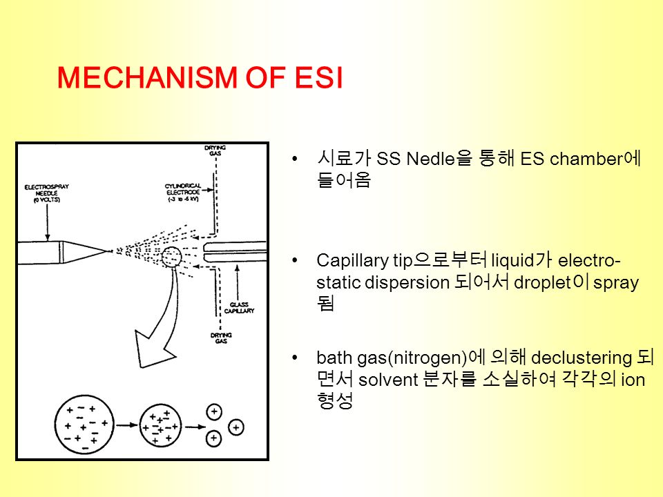 MECHANISM OF ESI 시료가 SS Nedle 을 통해 ES chamber 에 들어옴 Capillary tip 으로부터 liquid 가 electro- static dispersion 되어서 droplet 이 spray 됨 bath gas(nitrogen) 에 의해 declustering 되 면서 solvent 분자를 소실하여 각각의 ion 형성