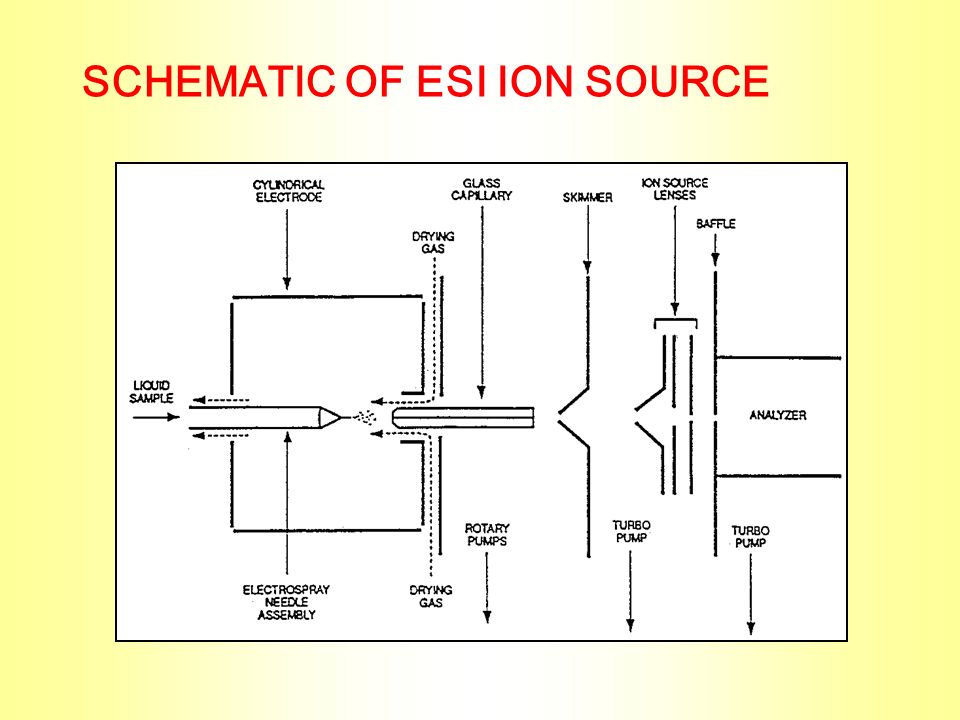 SCHEMATIC OF ESI ION SOURCE