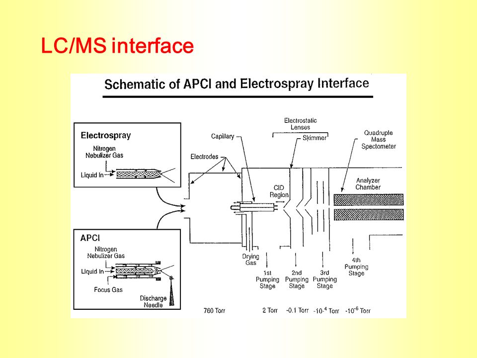 LC/MS interface