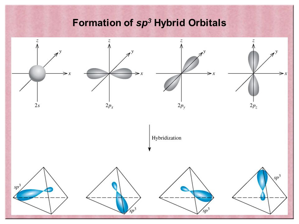Copyright © Houghton Mifflin Company. All rights reserved.1 | 28 Formation of sp 3 Hybrid Orbitals