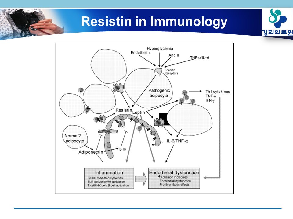 Resistin in Immunology
