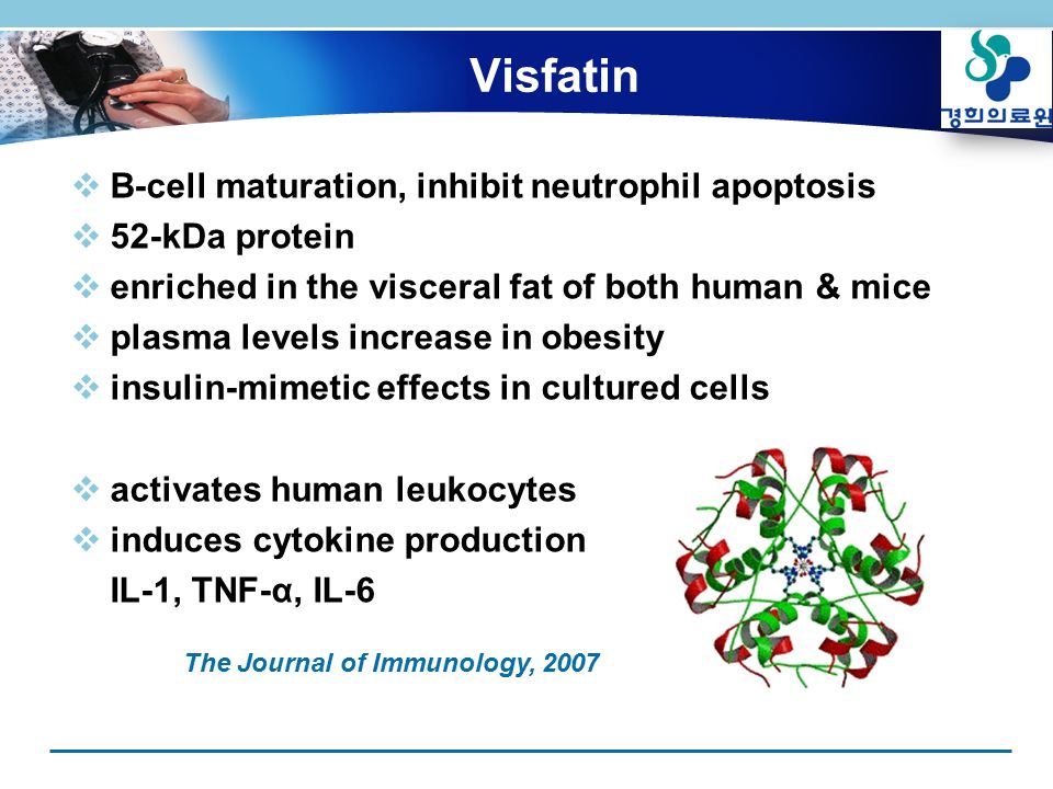 Visfatin  B-cell maturation, inhibit neutrophil apoptosis  52-kDa protein  enriched in the visceral fat of both human & mice  plasma levels increase in obesity  insulin-mimetic effects in cultured cells  activates human leukocytes  induces cytokine production IL-1, TNF-α, IL-6 The Journal of Immunology, 2007