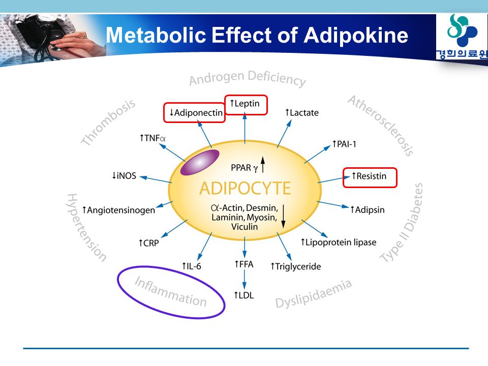 Metabolic Effect of Adipokine