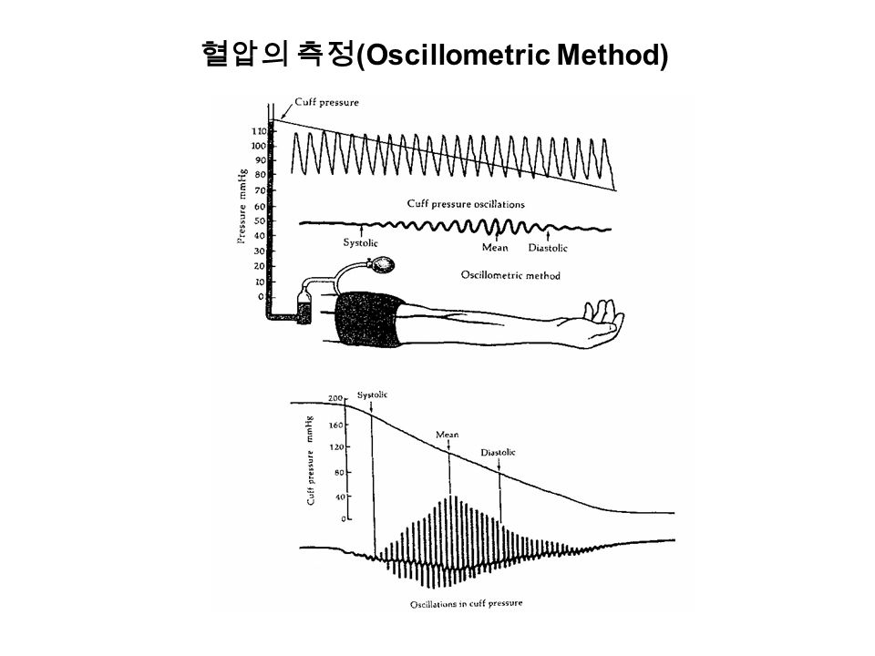 혈압의 측정 (Oscillometric Method)